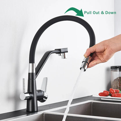 DecorBites™ Black 2-in-1 Pull Down Kitchen Faucet with Filtered Water