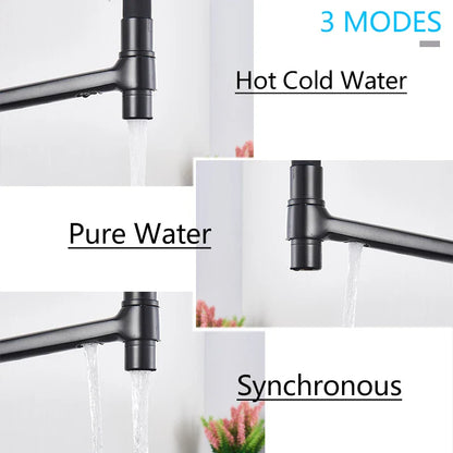 DecorBites™ Kitchen Faucet with Filtered Water, Dual Handle Hot Cold Mixer Taps