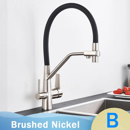 DecorBites™ Black 2-in-1 Pull Down Kitchen Faucet with Filtered Water