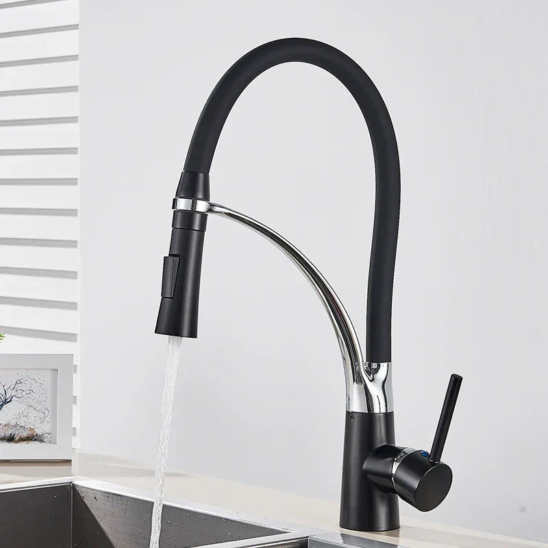DecorBites™ Black Hose Kitchen Faucet with Single Handle and Pull Down Sprayer