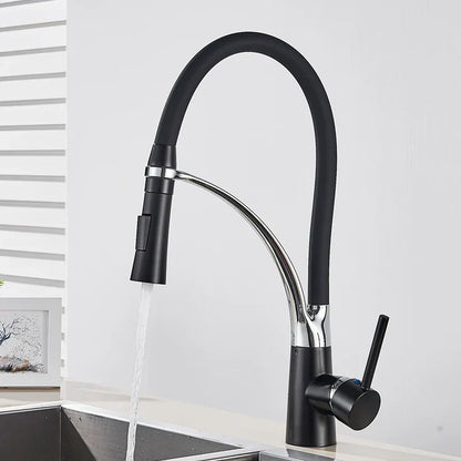 DecorBites™ Black Hose Kitchen Faucet with Single Handle and Pull Down Sprayer