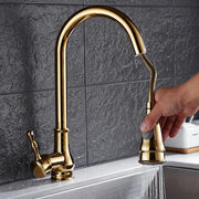 Grifo de Cocina Oro Decorbites™ con Extracción Giratoria Mezclador de Agua Grifo de Fregadero de Una Palanca