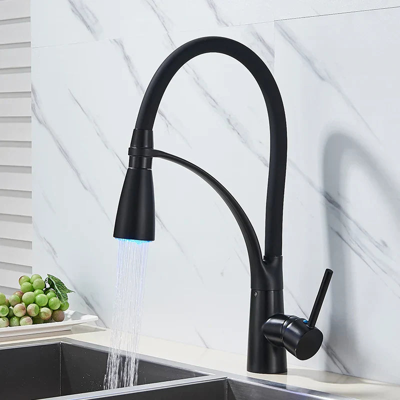 DecorBites™ Black Hose Kitchen Faucet with Single Handle and Pull Down Sprayer