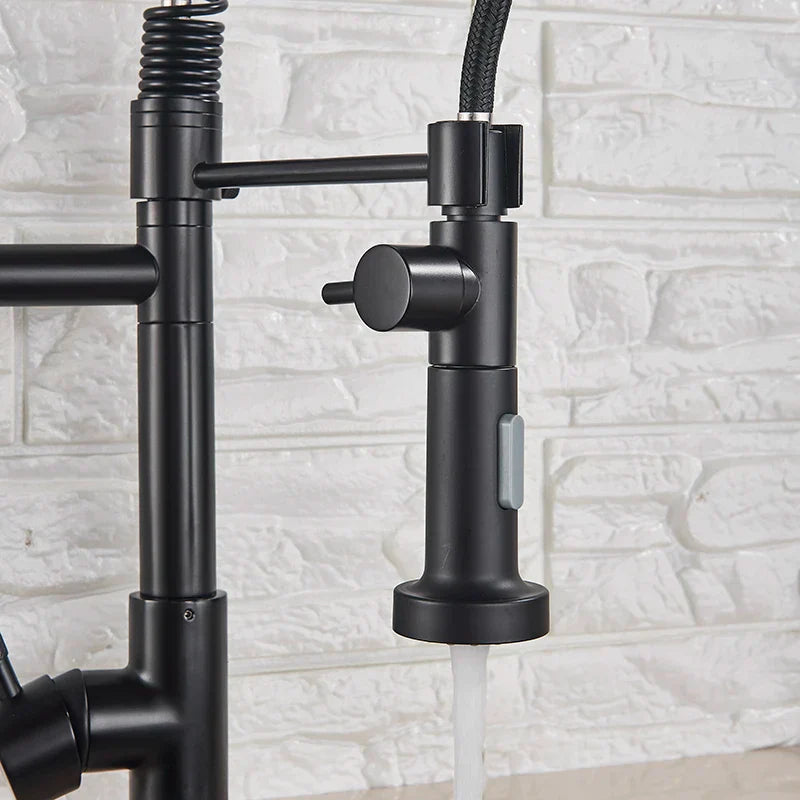 DecorBites™ Dual Spout Kitchen Sink Faucet - Matte Black Finish, Deck Mount Spring Mixer