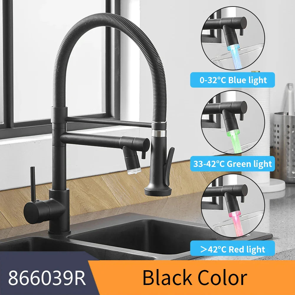 Black Dual Spout Faucet
