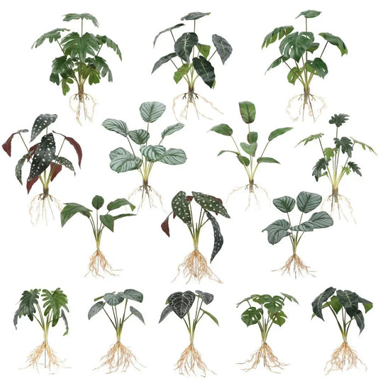 DecorBites™ Green Plant Wall Set for Indoor Decoration