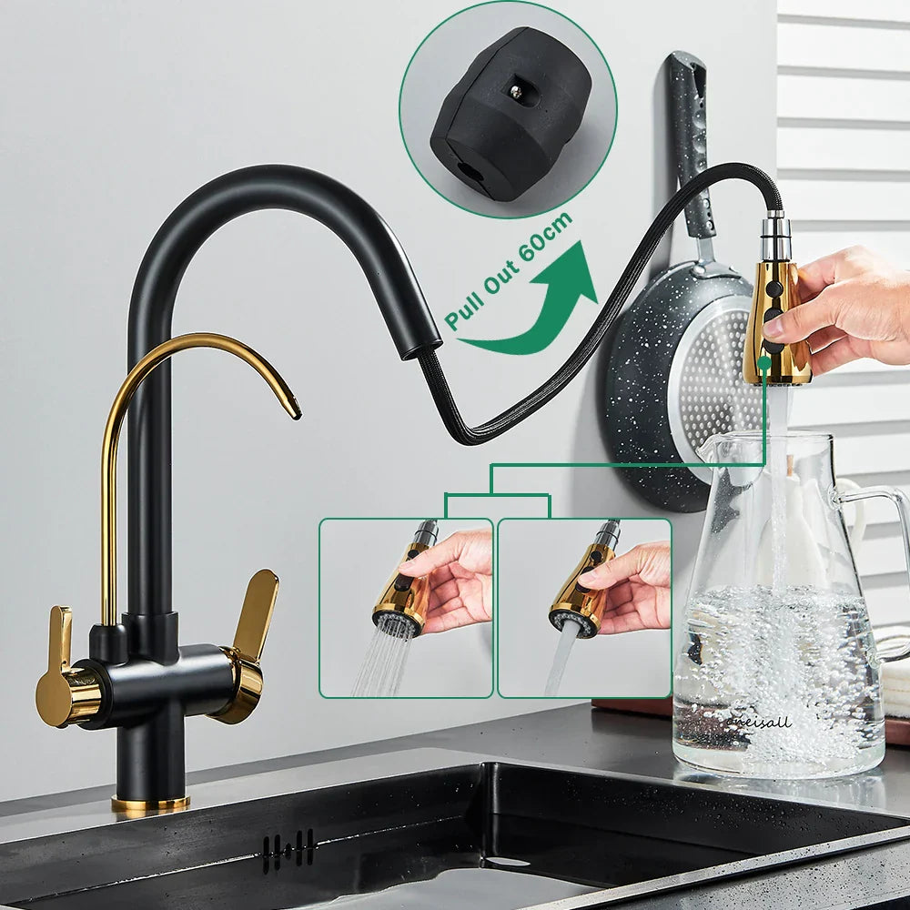 DecorBites™ Black Dual Modes Kitchen Faucet 2 in 1 Pure Water Mixer Tap