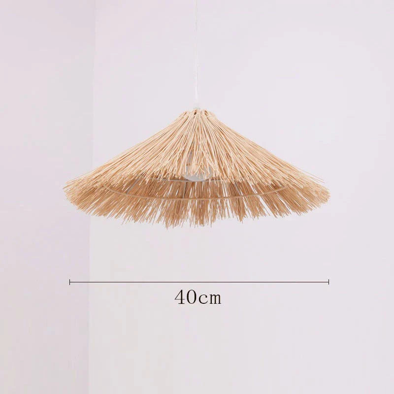 DecorBites™ Chinese Rattan Pendant Lights Hand-woven Straw Hat Lampshade Ceiling Chandelier