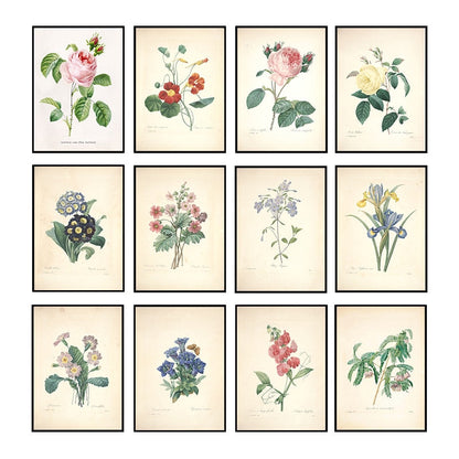 "Vuokko" Vintage Botanical Prints Canvas Collection