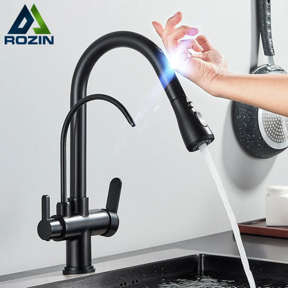 DecorBites™ Black Dual Modes Kitchen Faucet 2 in 1 Pure Water Mixer Tap