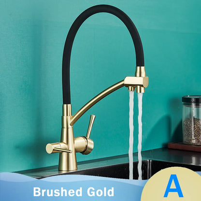 DecorBites™ Black 2-in-1 Pull Down Kitchen Faucet with Filtered Water