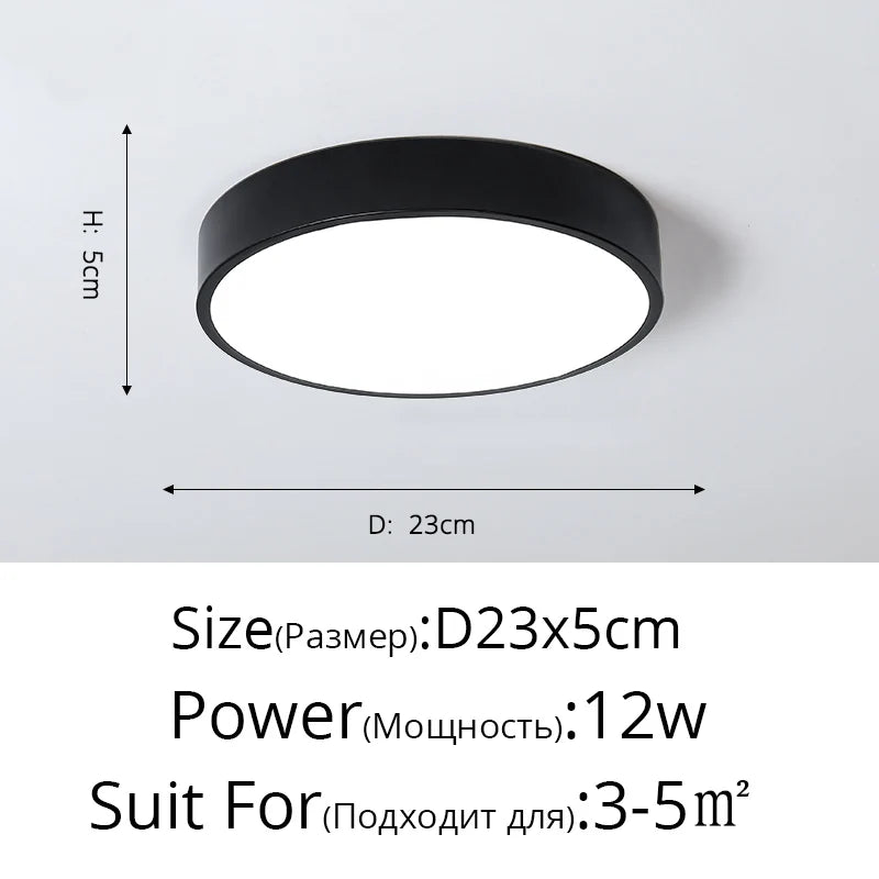 DecorBites™ LED Ceiling Light for Corridor Art Gallery Decoration in White or Black