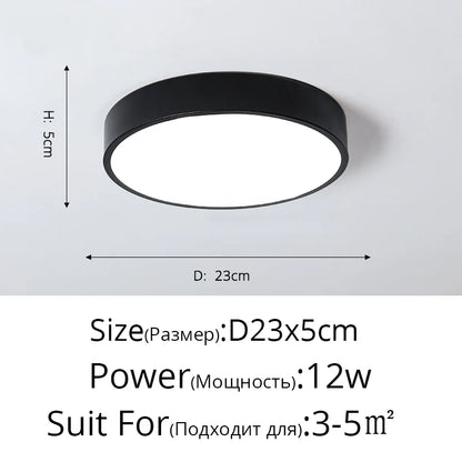 DecorBites™ LED Ceiling Light for Corridor Art Gallery Decoration in White or Black