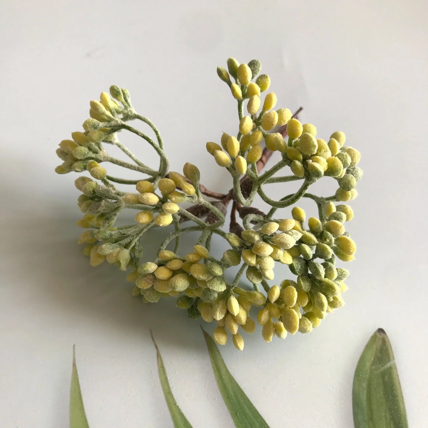 ديكور بايتس™ نباتات صناعية، زينة يدوية، نباتات مجففة، 5 غرام