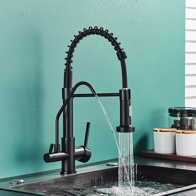 DecorBites™ Black Dual Handle Kitchen Faucet with Water Purification Feature, 360° Rotation