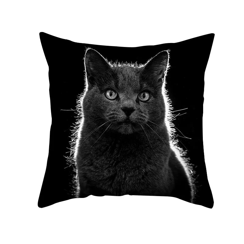 DecorBites™ Black Cat Pillowcases - Cute Kitty Animal Lover Cushion Cover