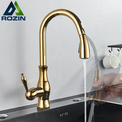 DecorBites™ Brass Kitchen Faucet Pull Out Sprayer High Arch Mixer Tap Kit