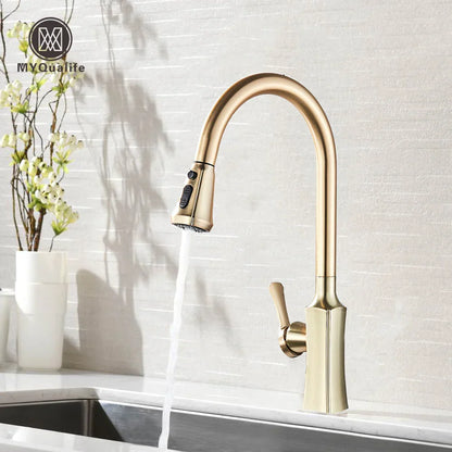 DecorBites™ Brushed Gold Pull Out Kitchen Faucet with 2 Function Head and Spring Design