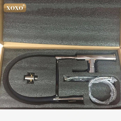 DecorBites™ Dual Sprayer Nozzle Kitchen Sink Faucet, Black and Chrome Finish