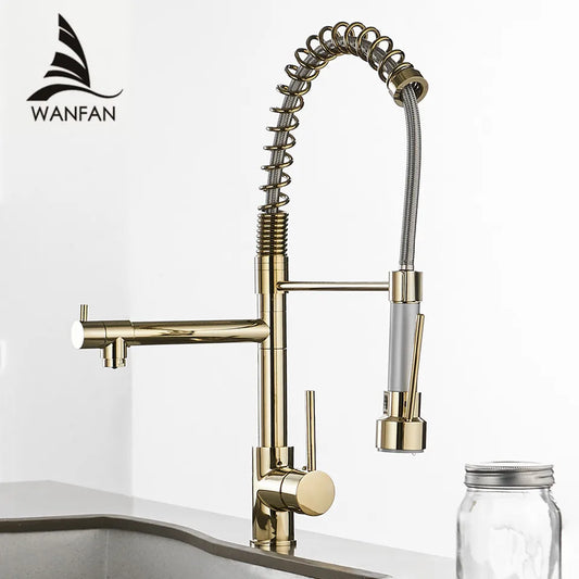 DecorBites™ Gold Spring Spout Kitchen Faucet - Single Pull Out Mixer Tap