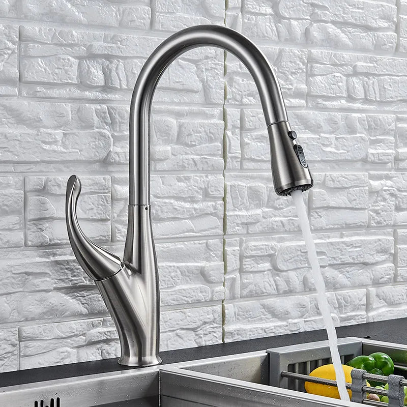 DecorBites™ Kitchen Faucet: Chrome/Black Pull Out Mixer with 2 Function Spout