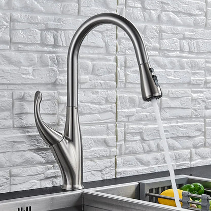 DecorBites™ Kitchen Faucet: Chrome/Black Pull Out Mixer with 2 Function Spout
