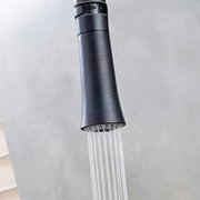 Chrome Kitchen Spray Head