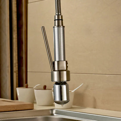 DecorBites™ Brushed Nickel LED Color Changing Kitchen Faucet Spray Head