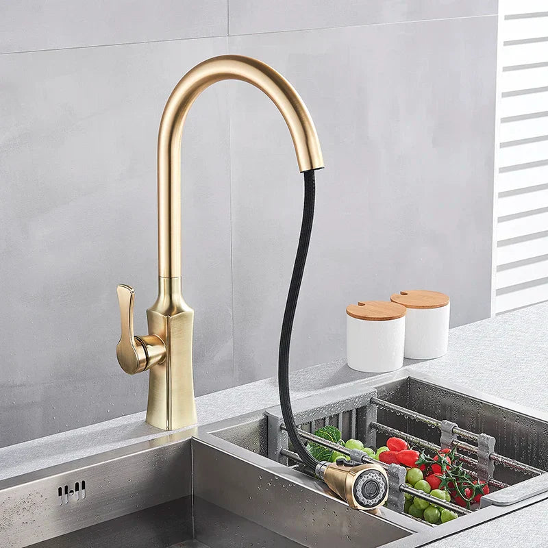 DecorBites™ Brushed Gold Pull Out Kitchen Faucet with 2 Function Head and Spring Design