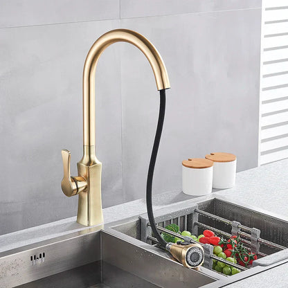 DecorBites™ Brushed Gold Pull Out Kitchen Faucet with 2 Function Head and Spring Design
