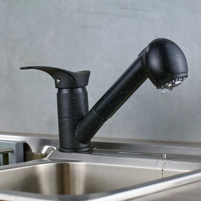 DecorBites™ Brushed Nickel Kitchen Faucet with Sprayer Steam Spout