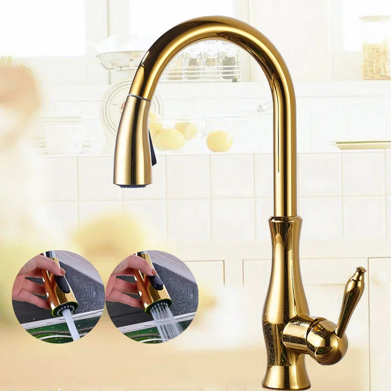 DecorBites™ Brass Kitchen Faucet Pull Out Sprayer High Arch Mixer Tap Kit
