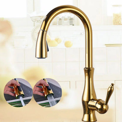 DecorBites™ Brass Kitchen Faucet Pull Out Sprayer High Arch Mixer Tap Kit