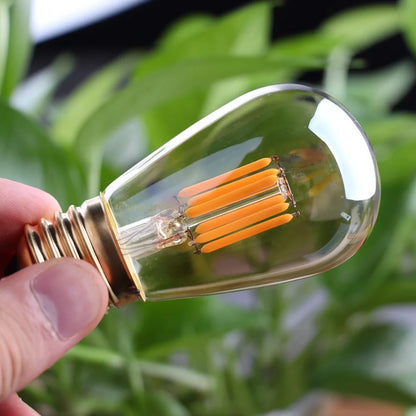 Bombilla LED de filamento DecorBites™ 3W ST45 Dorada Regulable E26 E27 2200K Decoración para interiores