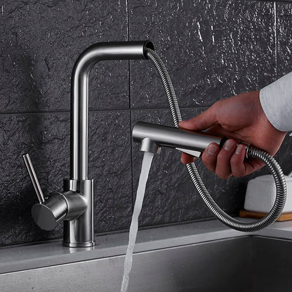 DecorBites™ Brass Brushed Nickel Kitchen Faucet High Arch Swivel Pull Out Spray Mixer Tap