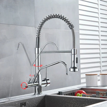 DecorBites™ Black Dual Handle Kitchen Faucet with Water Purification Feature, 360° Rotation