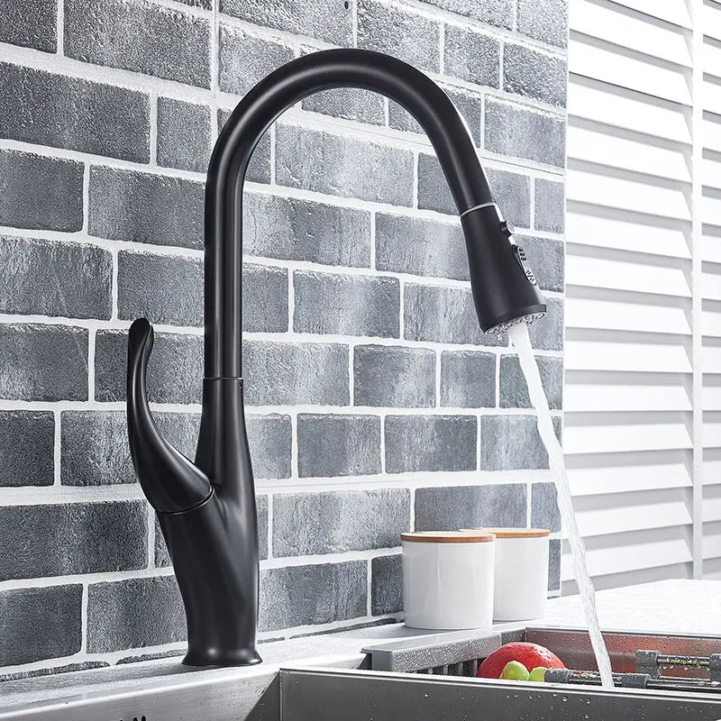 DecorBites™ Kitchen Faucet: Chrome/Black Pull Out Mixer with 2 Function Spout