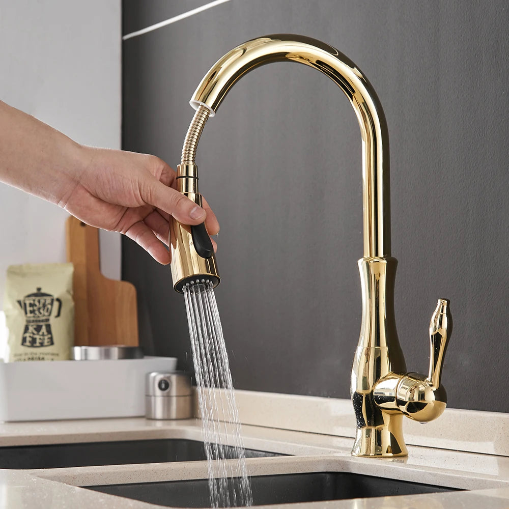 Black Gold Brass Kitchen Faucet Pull-Out Spray