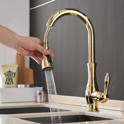Black & Gold Pull Out Kitchen Faucet – Brass Kitchen Mixer Tap