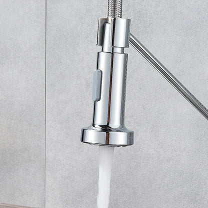 DecorBites™ Dual Function Chrome Kitchen Sprayer Head, Replace Spout Stream for Faucet