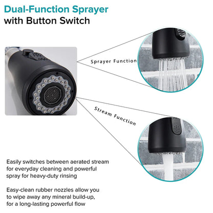 DecorBites™ Black Kitchen Faucet Pull Out Mixer with Single Handle and Stream Spray