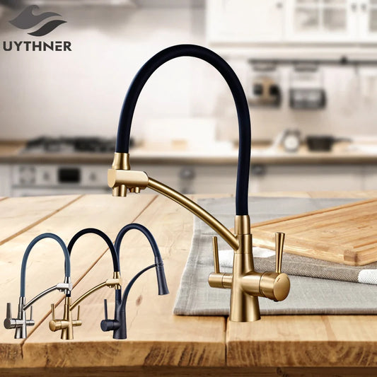DecorBites™ Dual Spout Dual Handles Kitchen Faucet with Hot and Cold Mixer for Pure Water