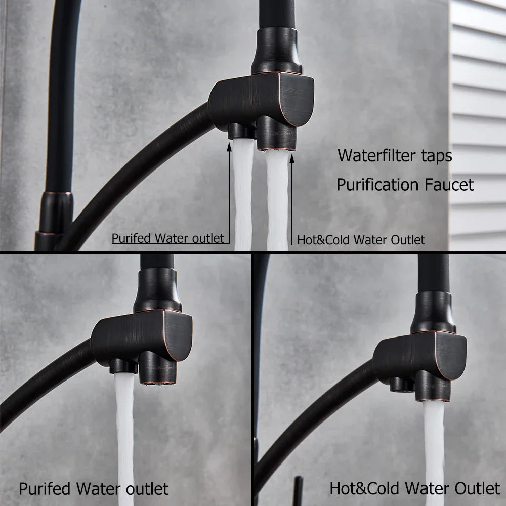 DecorBites™ Dual Spout Dual Handles Kitchen Faucet with Hot and Cold Mixer for Pure Water