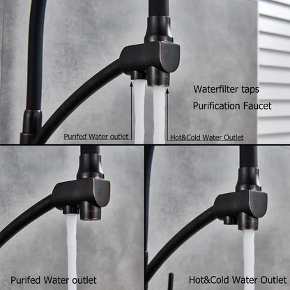 DecorBites™ Dual Spout Dual Handles Kitchen Faucet with Hot and Cold Mixer for Pure Water