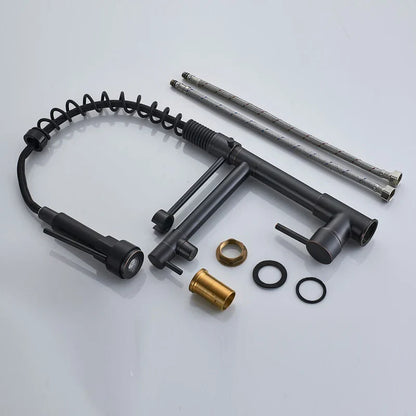 DecorBites™ Black Bronze Dual Spout Kitchen Faucet with Pull Down Sprayer