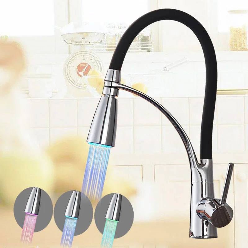 DecorBites™ Black Hose Kitchen Faucet with Single Handle and Pull Down Sprayer