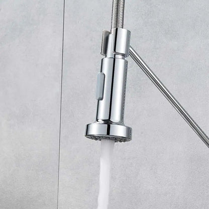 DecorBites™ Dual Function Chrome Kitchen Sprayer Head, Replace Spout Stream for Faucet