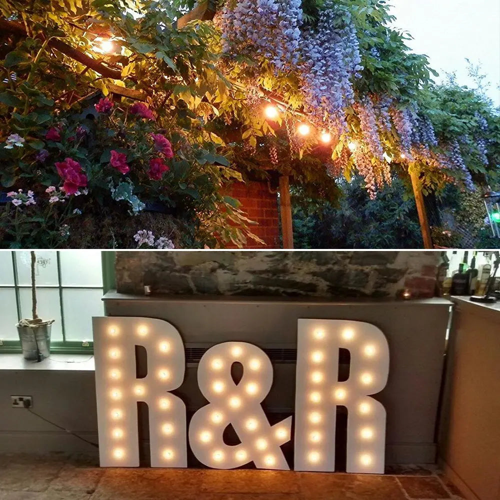 DecorBites™ Gold Tint G40 LED Filament Globe Bulb E14/E12 Dimmable 1W 2200K Home Lighting