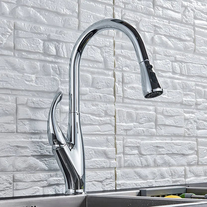DecorBites™ Kitchen Faucet: Chrome/Black Pull Out Mixer with 2 Function Spout