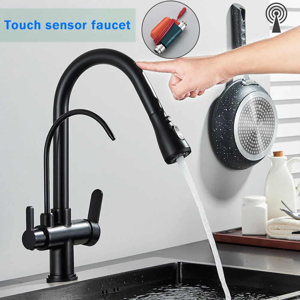 DecorBites™ Black Dual Modes Kitchen Faucet 2 in 1 Pure Water Mixer Tap